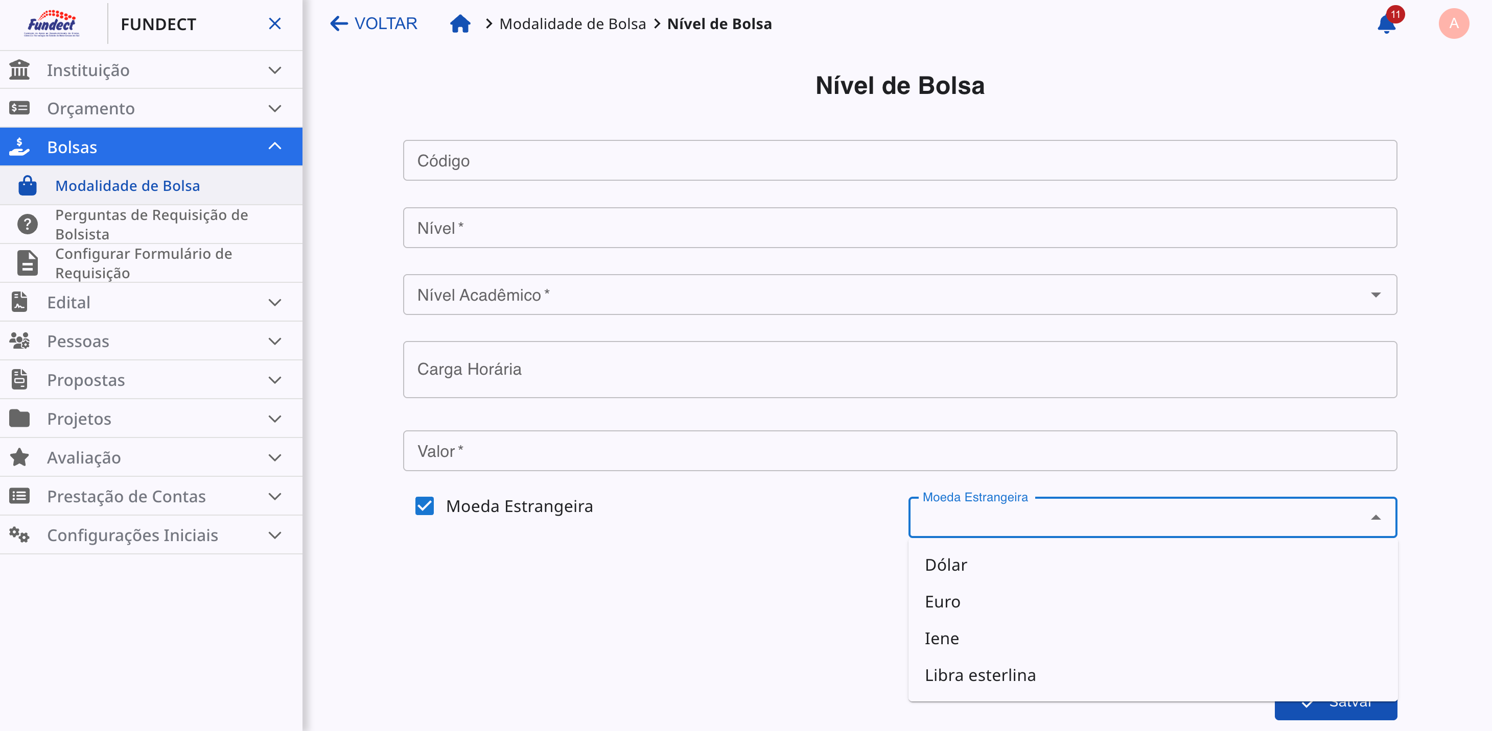 Formulário de criação de nível com a opção de moeda estrangeira marcada.