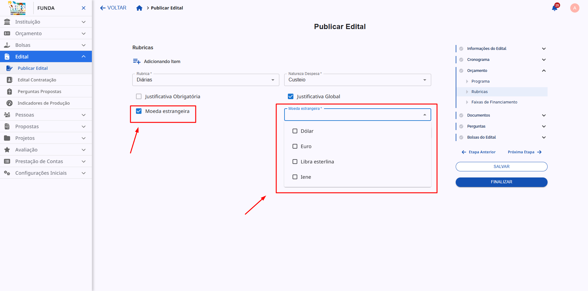 Checkbox para habilitar o uso de moeda estrangeira na rubrica.