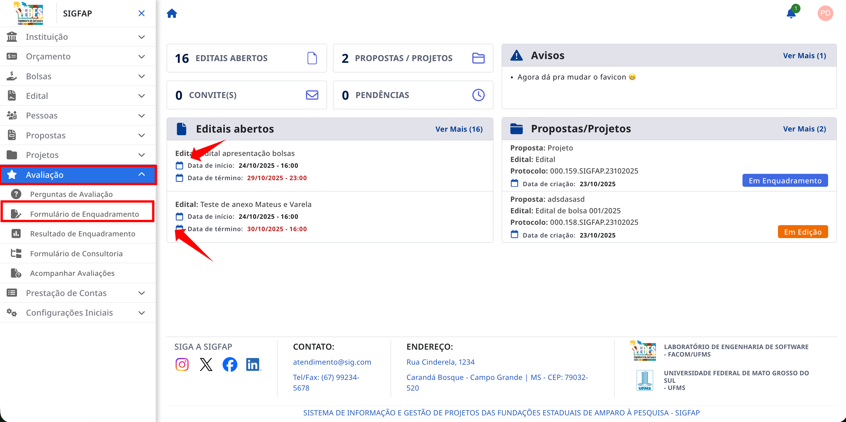Menu lateral com a opção Formulário de Enquadramento destacada.