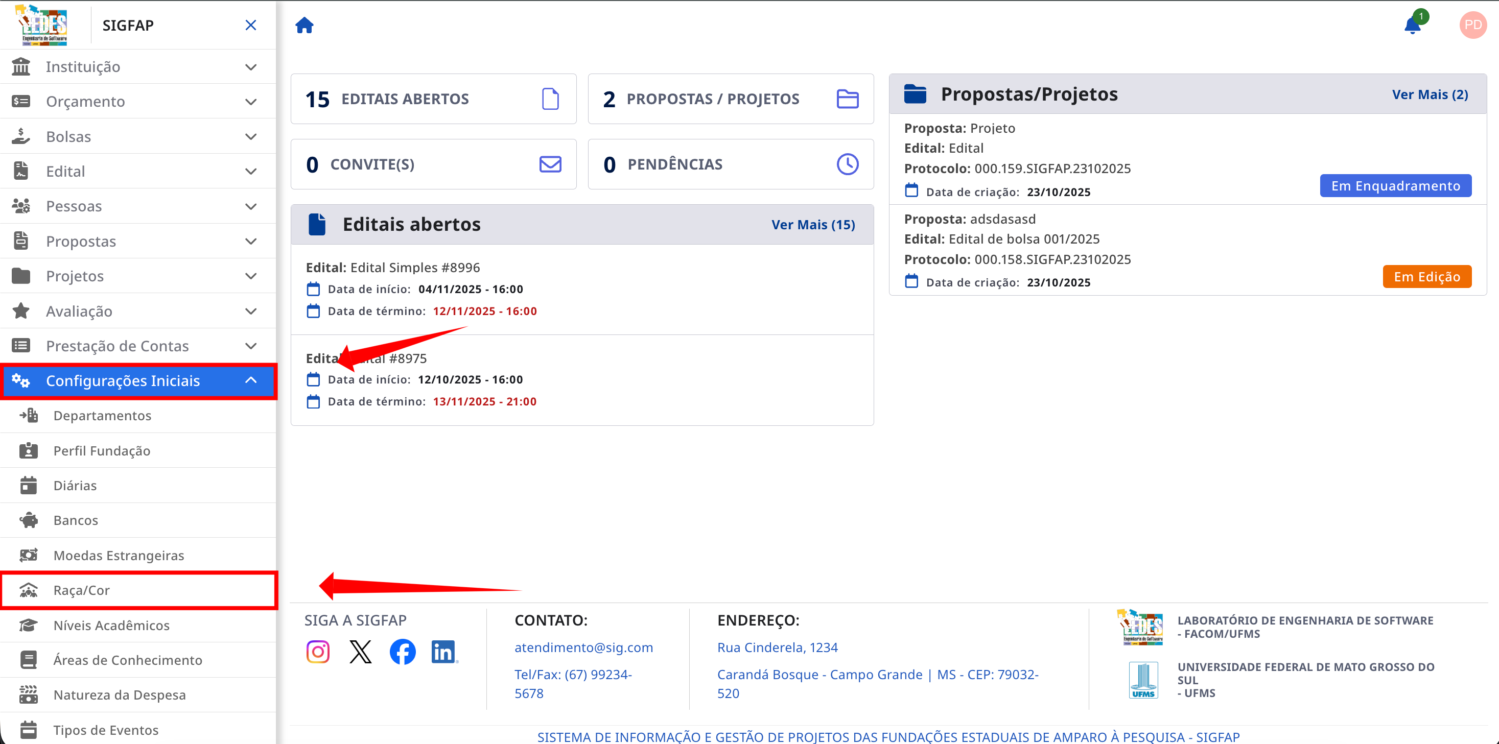 Menu lateral com a opção Raça/Cor Destacada